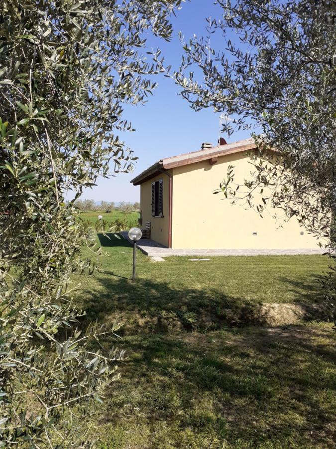 Le Chiare Stelle Grosseto