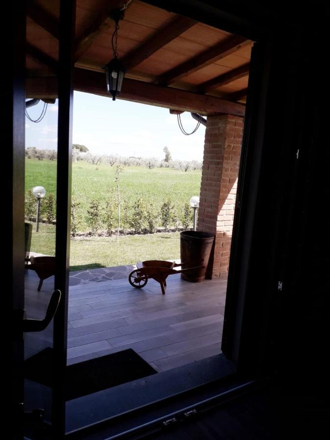 Le Chiare Stelle Alloggio per agriturismo Grosseto